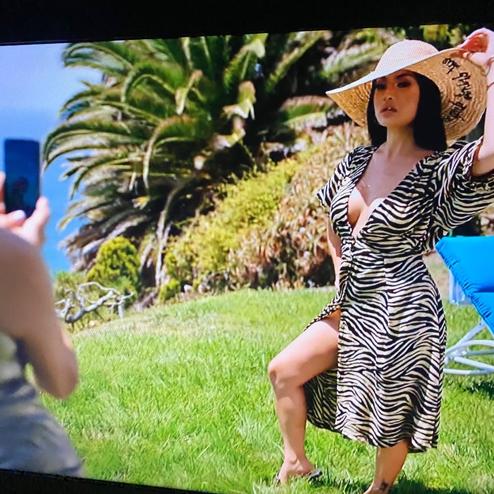Sexy Spring Tiger Print Wrap Dress - Picture 5 of 5